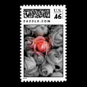 Unique Beauty postage