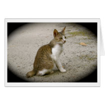 Unique Cat card by Rebecca_Reeder Unique Cat card