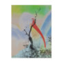 Unique combo solarized colors tree and bird post card