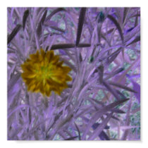 Unique Expoxed Floral Poster posters