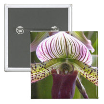Unique Orchid Button