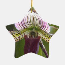 Unique Orchid Ornament
