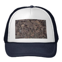 Unique Petrified pieces Mesh Hat