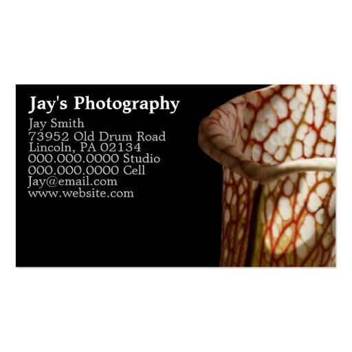 Unique Photography Business Cards (front side)