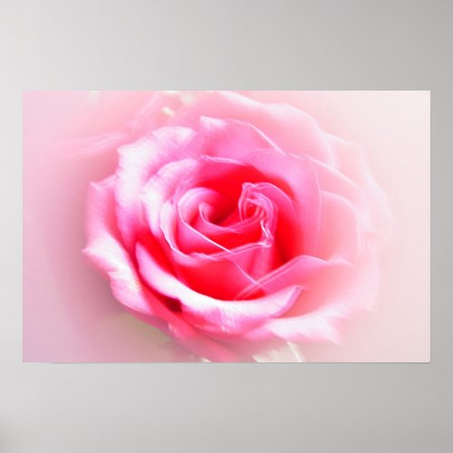 Unique Rose print