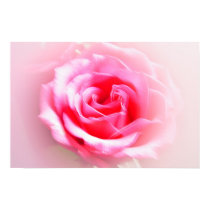 Unique Rose posters by Emerald_Fyre Unique Rose posters