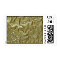 Unique Stucco Postage Stamp