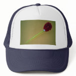 Unique Toilet brush Mesh Hat