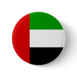 United Arab Emirates Pins