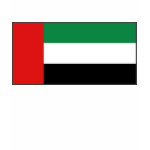 United Arab Emirates Flag Map Spaghetti Top