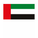 United Arab Emirates T-shirt