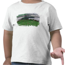 United Kingdom, Scotland, Isle of Skye, old T Shirt