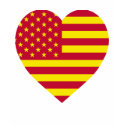 United Socialist States of America Flag Heart t-shirts