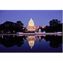 United States Capitol photo sculptures by animalpark United States Capitol photo sculptures