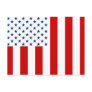 United States Civil Flag Sons of Liberty Variation Post Cards