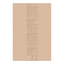 United States Constitution posters