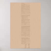 United States Constitution Poster