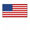 United States Flag and Map T-Shirt