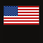 United States Flag Map Spaghetti Top