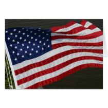 United States Flag Card cards