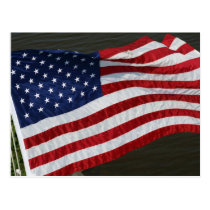 United States Flag Postcard postcards