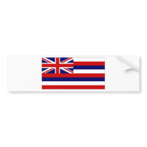 United States Hawaii Flag