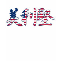 United States - In Chinese T-Shirt
