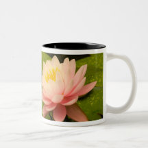 United States, Maryland, Westminster, Union Coffee Mugs