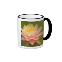 United States, Maryland, Westminster, Union Coffee Mugs