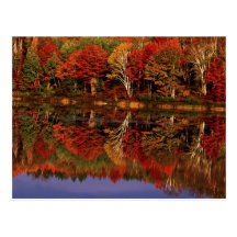 United States, Michigan, Upper Peninsula. Fall Post Cards