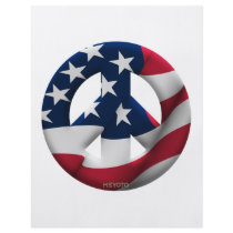 United States of America Custom Flyer