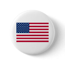 UNITED STATES OF AMERICA PINS