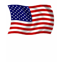 United States of America (USA) Flag T-shirt