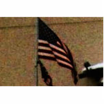 UNITED STATES CUT OUTS