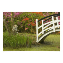 United States; South Carolina; Charleston; 2