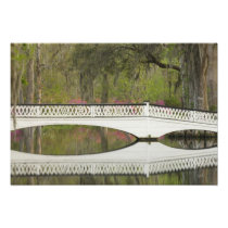 United States; South Carolina; Charleston; 3