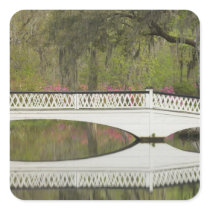 United States; South Carolina; Charleston; 3 Sticker
