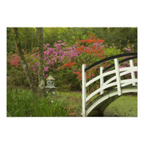 United States; South Carolina; Charleston; 5