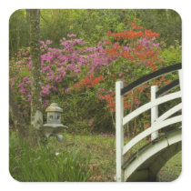United States; South Carolina; Charleston; 5 Square Sticker