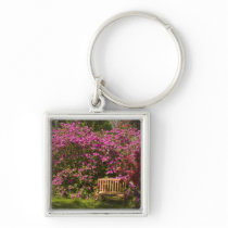 United States; South Carolina; Charleston; Key Chain