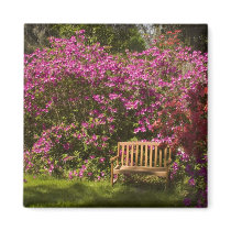 United States; South Carolina; Charleston; Fridge Magnet