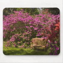 United States; South Carolina; Charleston; Mouse Pad
