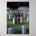 United States, State of Virginia, Arlington.