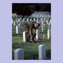 United States, State of Virginia, Arlington. posters