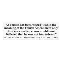 United States v Mendenhall 446 US 544 1980 Photo Art