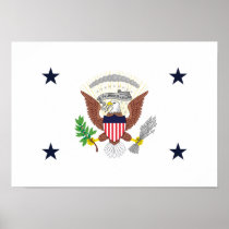 United States Vice Presidential Print