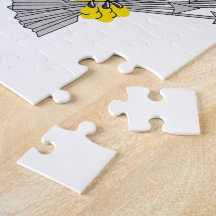 United States Vice Presidential Puzzles