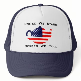 United We Stand Divided We Fall Hat hat
