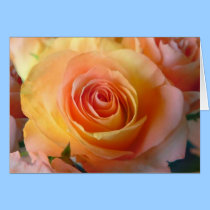 Unity Rose Card by deesbasenjis Unity Rose Card