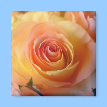 Unity Rose Magnet by deesbasenjis Unity Rose Magnet